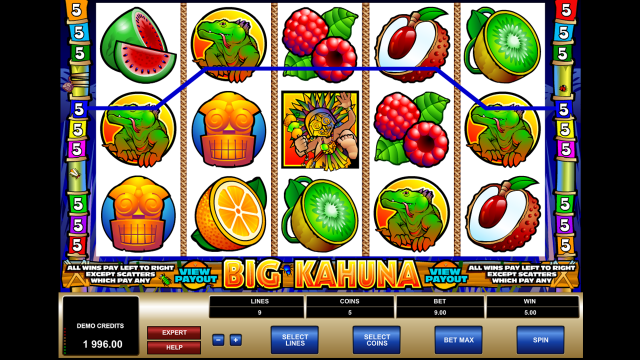 Игровой интерфейс Big Kahuna 8