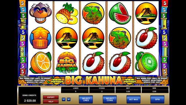 Игровой интерфейс Big Kahuna 2