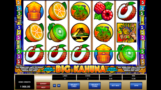 Игровой интерфейс Big Kahuna 1